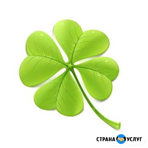 Услуги садовника Пятигорск - изображение 1