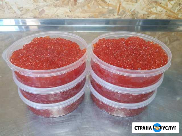 Икра красная (кета) опт/розница Хабаровск - изображение 1