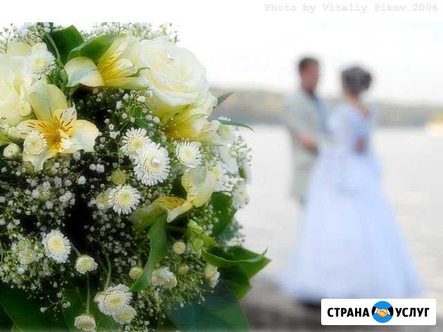 Фото и видео съемка Великий Новгород - изображение 1