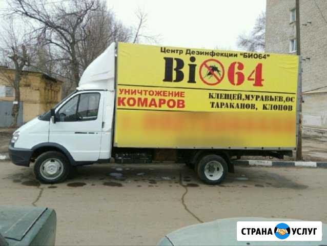 Грузоперевозки по России Энгельс - изображение 1