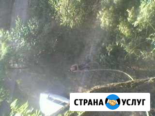 Спил деревьев любой сложности Тихорецк - изображение 1