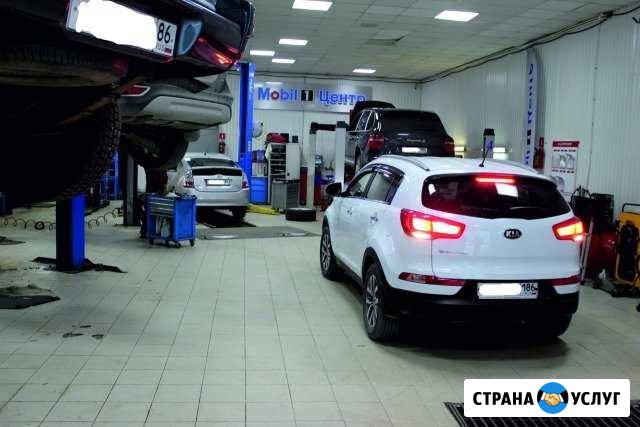 Компьютерная диагностика ходовой Нижневартовск - изображение 1