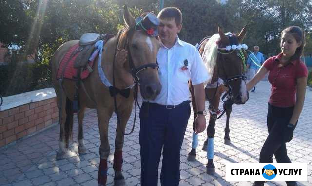 Верховая езда, фотосессии Кизляр - изображение 1