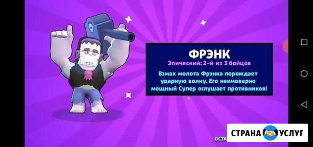Тренер по бравлу Омск - изображение 1