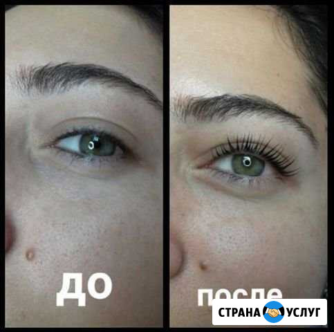 Ресницы Вельвет/Velvet Петрозаводск - изображение 1