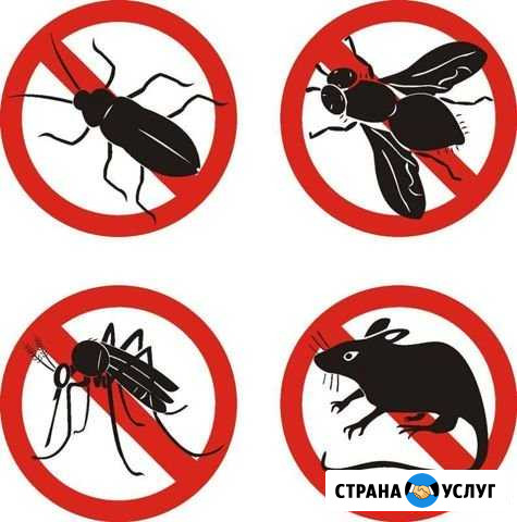 Обработка от тараканов клопов мышей плесени и т.д Волгоград - изображение 1