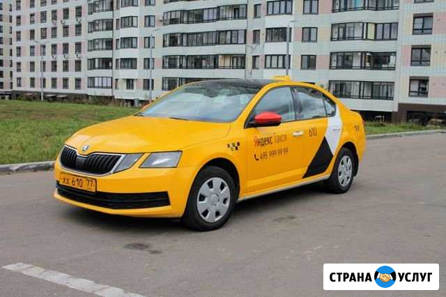 Аренда Skoda Octavia Москва - изображение 1