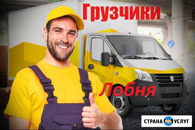 Грузчики (рохля) Лобня - изображение 1