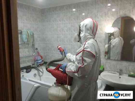 Уничтожение насекомых и грызунов Ижевск