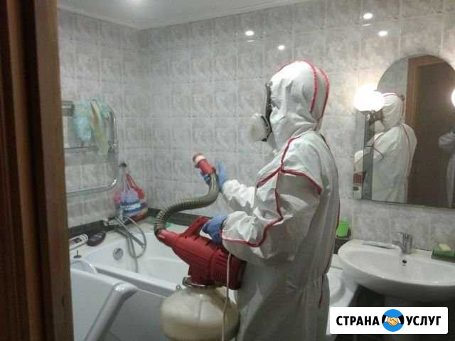 Уничтожение насекомых и грызунов Ижевск - изображение 1
