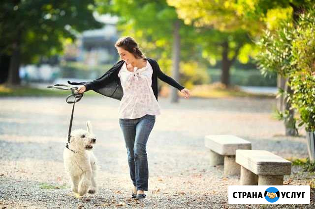 Выгул собаки Красногорск - изображение 1