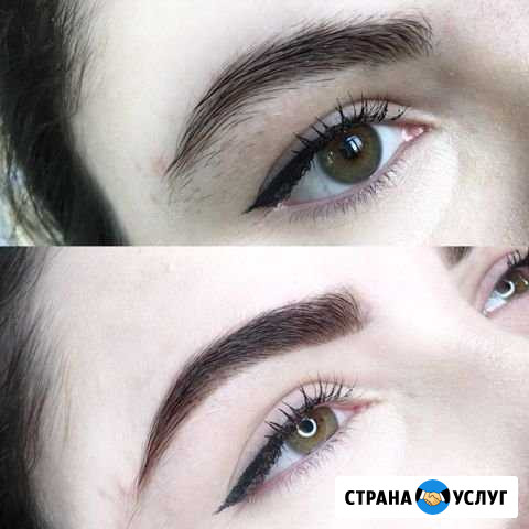 Бровист Грозный - изображение 1