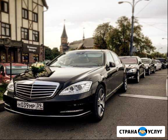 Свадебный кортеж в Калининграде Знаменск - изображение 1