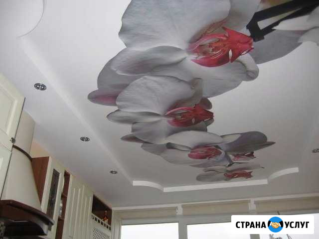 Натяжные потолки Магас - изображение 1