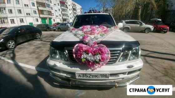 Аренда авто с водителем Сургут