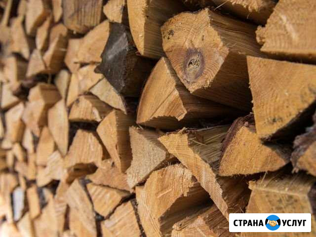 Дрова колотые и чурочками от производителя береза Шербакуль - изображение 1