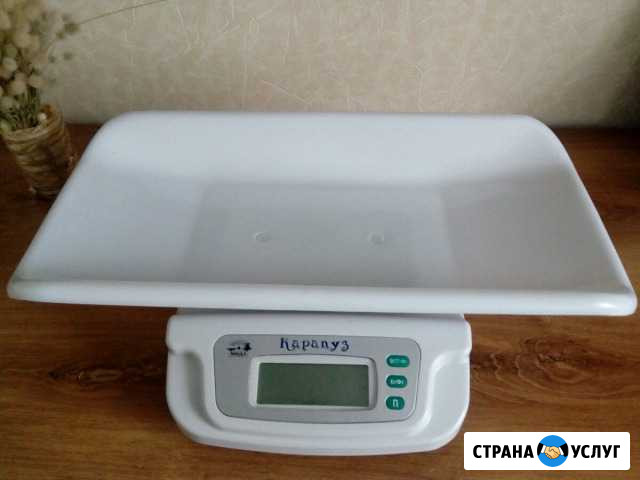 Детские весы на прокат Златоуст - изображение 1