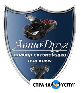 Профессиональный авто подбор Анжеро-Судженск - изображение 1