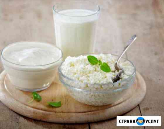 Молочные продукты Шадринск