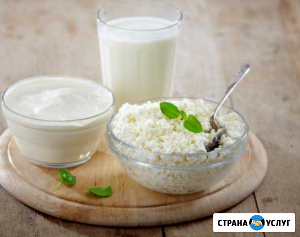 Молочные продукты Шадринск - изображение 1