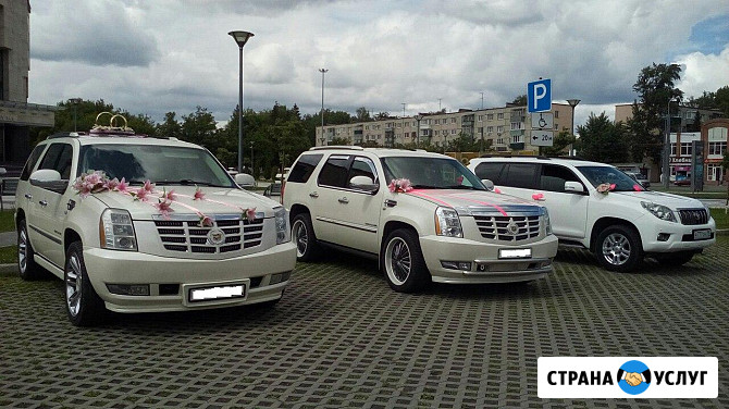 Заказ авто для свадьбы любого класса Пенза - изображение 2