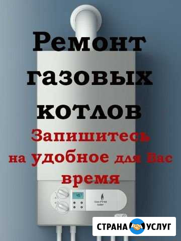 Ремонт газовых котлов Бор - изображение 1