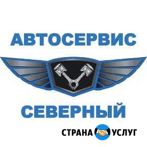 Автосервис Северный Владимир - изображение 1