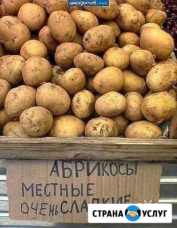 Стихи, поздр., лозунги Брянск - изображение 1