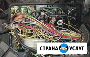 Ремонт автоэлектрики любой сложности Санкт-Петербург - изображение 1