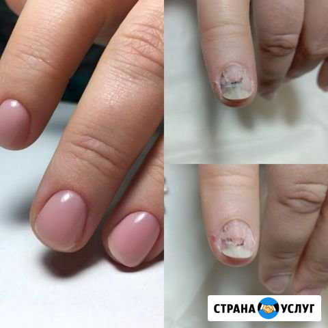 Модели на маникюр с покрытием Москва - изображение 1