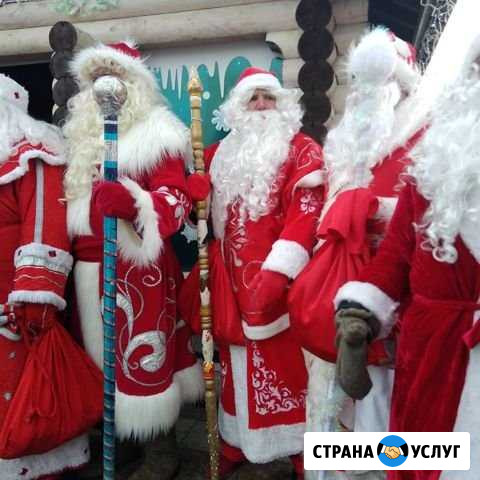Дед Мороз Горячий и Снегурочка Засечное - изображение 1
