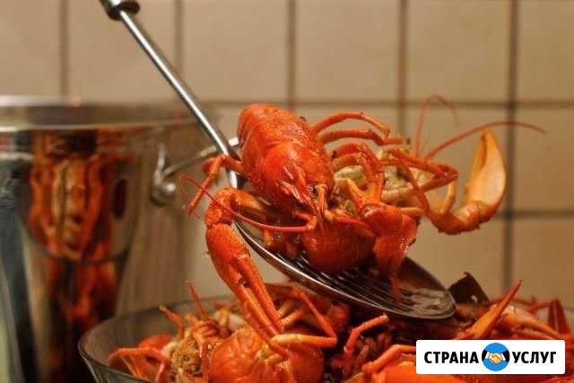 Доставка раков живых,вареных Кубинка, Наро-Фоминск Кубинка - изображение 1