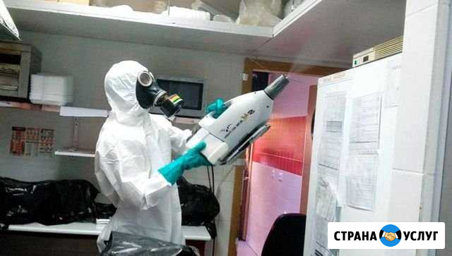 Дезинфекция, дезинсекция, дератизация Чебоксары - изображение 1