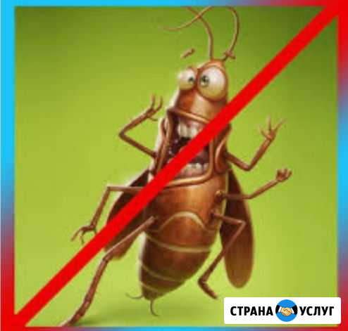 Уничтожение насекомых Братск - изображение 1