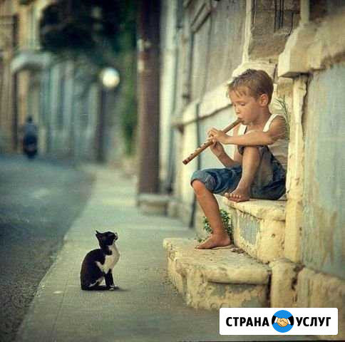 Выслушаю все ваши страхи, сомнения,обиды Ижевск - изображение 1