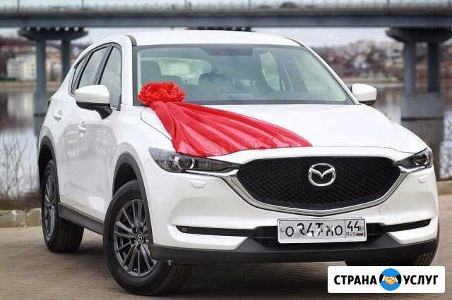 Свадебный кортеж Mazda CX-5. Аренда авто с водител Кострома - изображение 1