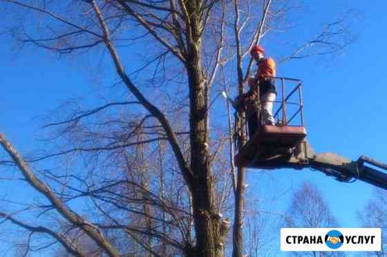 Спил деревьев Ишимбай