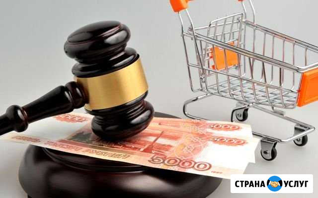 Юрист в спорах в сфере защиты прав потребителей Хабаровск - изображение 1