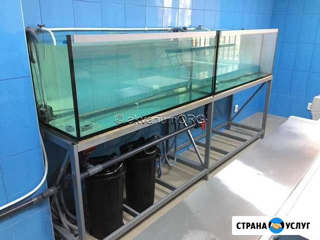 Изготовление торговых аквариумов под ключ в Крыму Севастополь - изображение 1