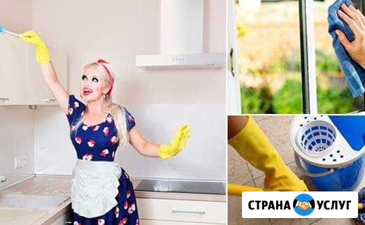 Уборка любой сложности Ковров - изображение 1