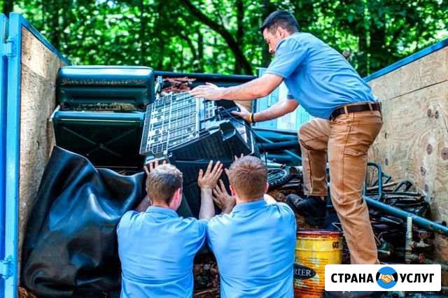 Вывоз мусора Красное Село - изображение 1