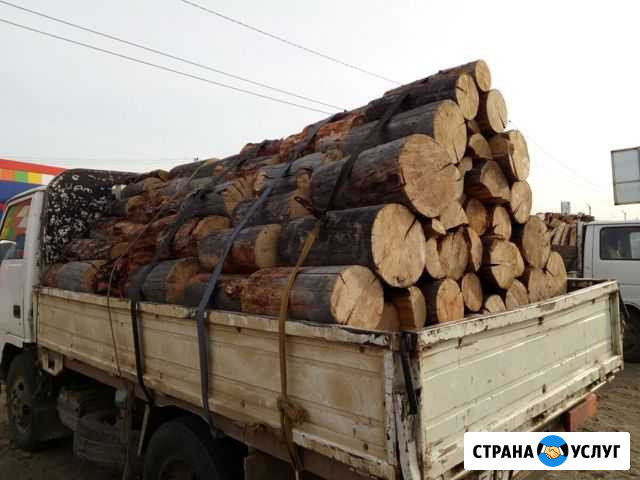 Продам дрова Чита - изображение 1