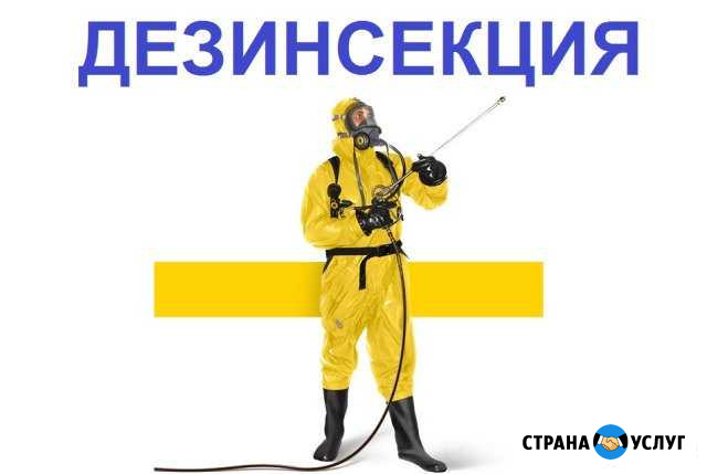 Выведение тараканов и клопов за 1 раз Волгоград - изображение 1