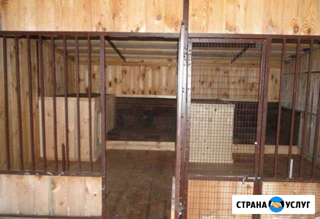 Передержка собак, Гостиница доя собак Липецк - изображение 1