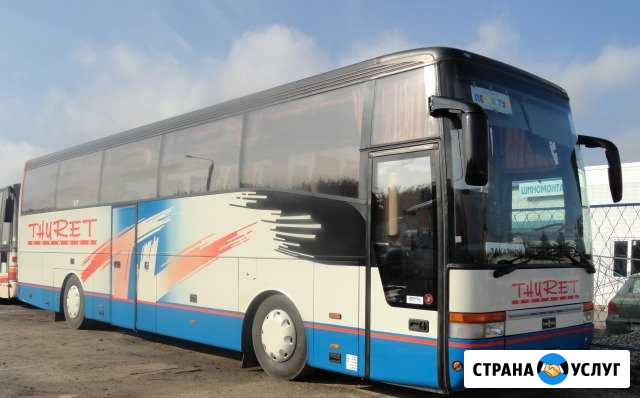 Аренда автобусов от 30 до 61 места Ковров - изображение 1