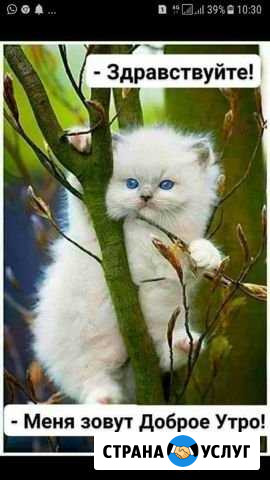 Постельное белье Екатеринбург - изображение 1