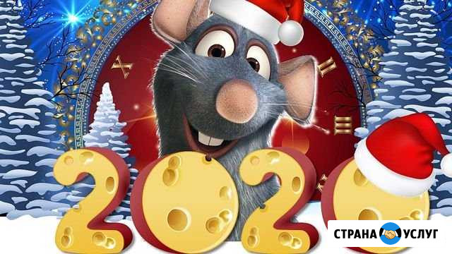 Видеосъёмка Новогодних утренников Сургут - изображение 1