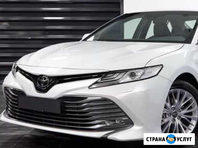 Водитель с личным авто toyota camry 2019 Москва - изображение 1