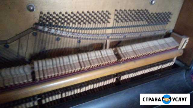 Настройка фортепиано Рязань - изображение 1