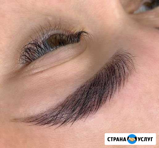 Брови. Коррекция, окрашивание, укладка Курган - изображение 1